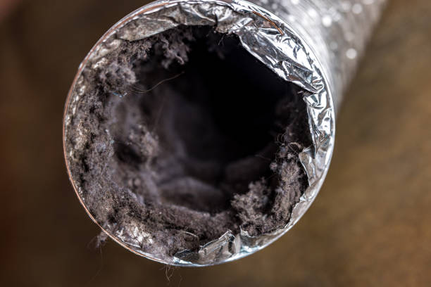 Best Commercial HVAC Duct Cleaning  in Flora, IN